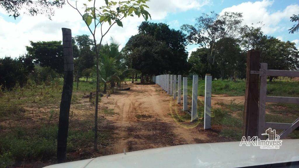 Fazenda à venda com 2 quartos, 4500000M2 - Foto 2