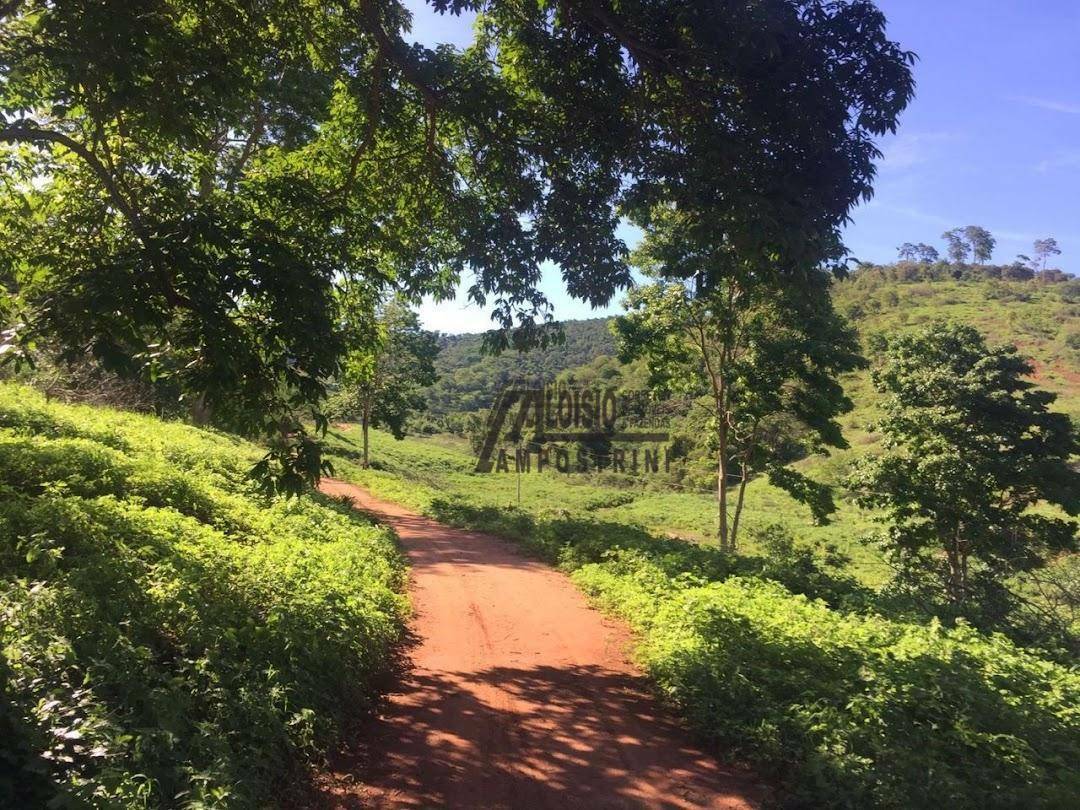 Fazenda à venda, 5469200M2 - Foto 58