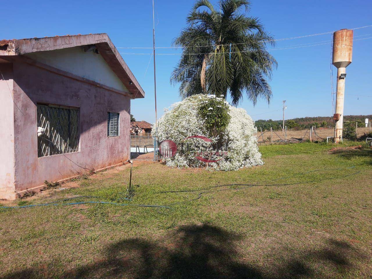 Sítio à venda com 3 quartos, 180m² - Foto 5
