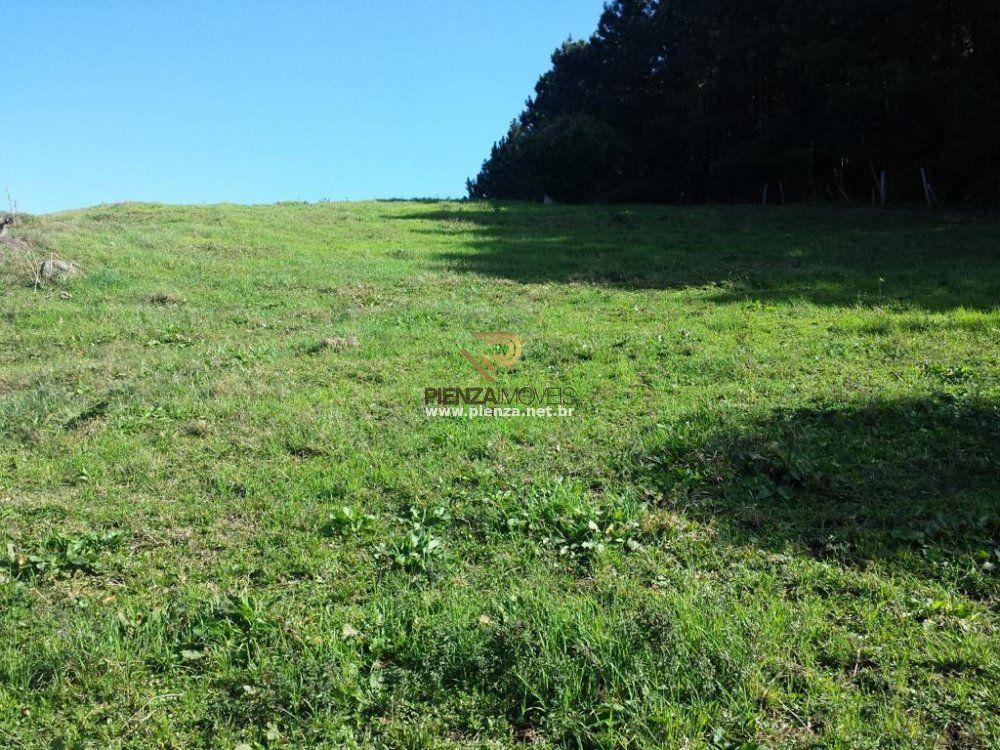 Fazenda à venda, 70000m² - Foto 4