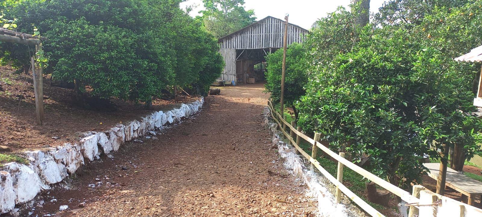 Fazenda à venda com 4 quartos, 12000m² - Foto 22