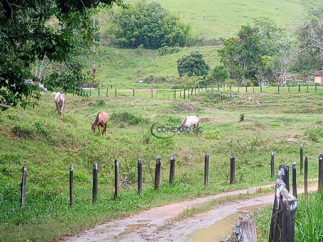 Fazenda à venda com 2 quartos, 1355200M2 - Foto 1