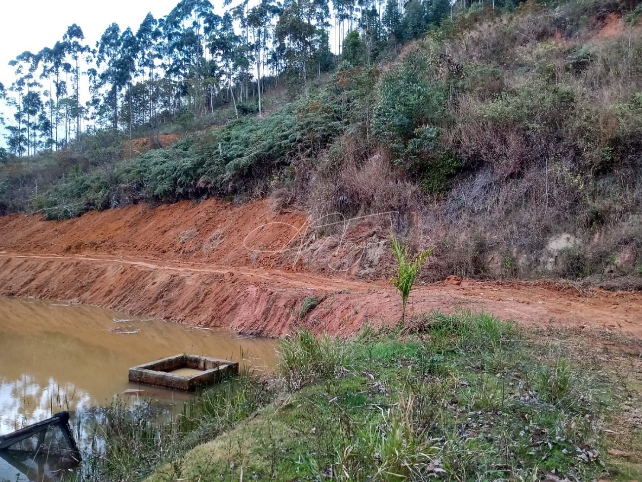 Fazenda à venda, 3000m² - Foto 29