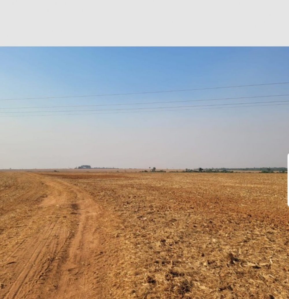 Fazenda, 458 hectares - Foto 5