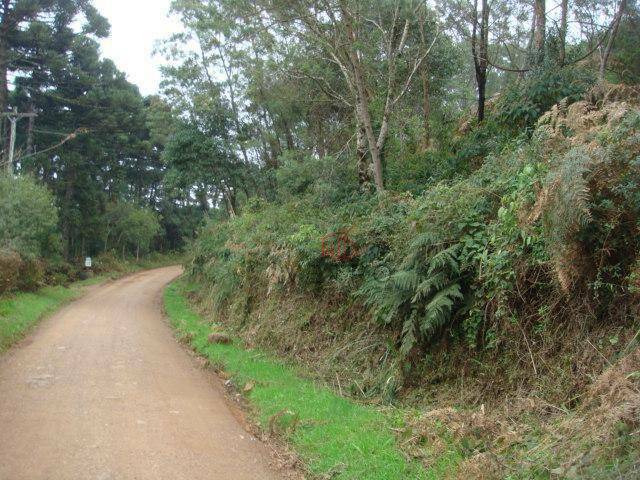 Terreno à venda, 50000M2 - Foto 3