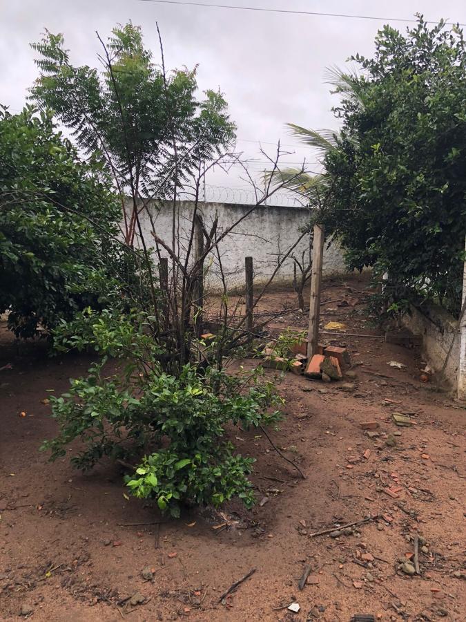 Fazenda à venda com 3 quartos - Foto 8