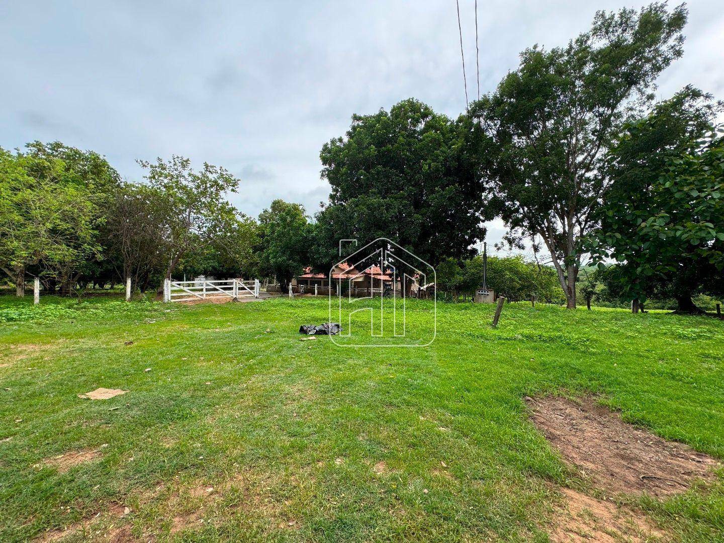 Fazenda à venda com 3 quartos, 26600000M2 - Foto 13