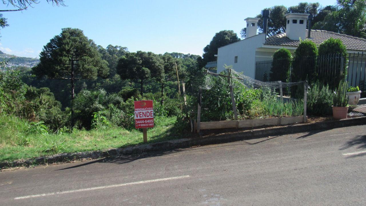 Terreno, 450 m² - Foto 3