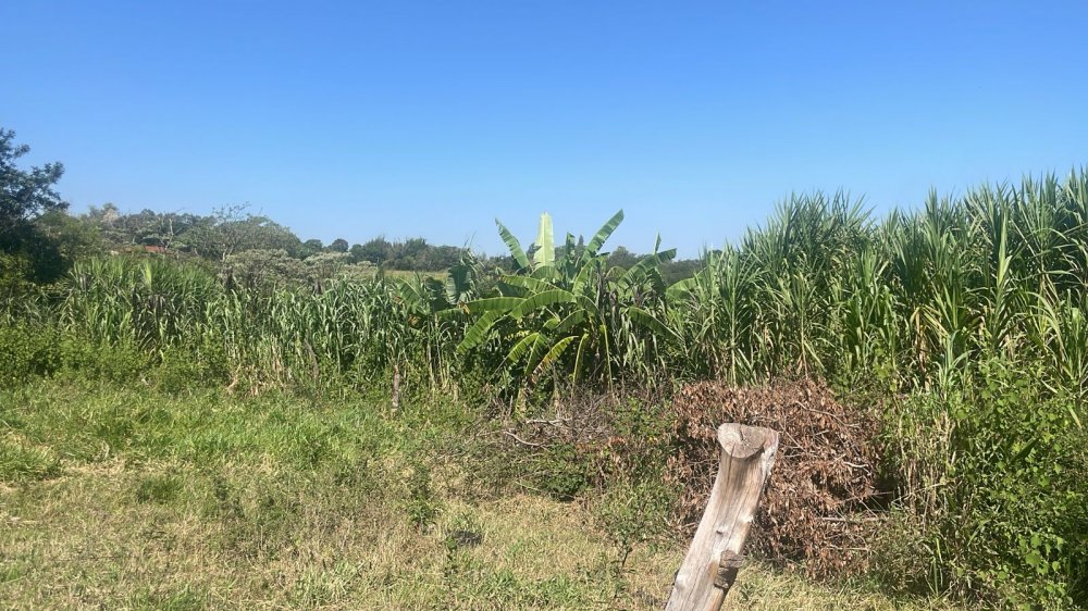 Fazenda à venda com 3 quartos - Foto 7