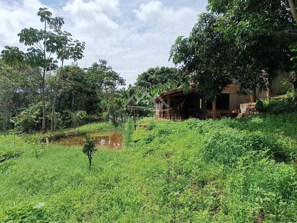 Fazenda à venda com 2 quartos, 3700m² - Foto 17