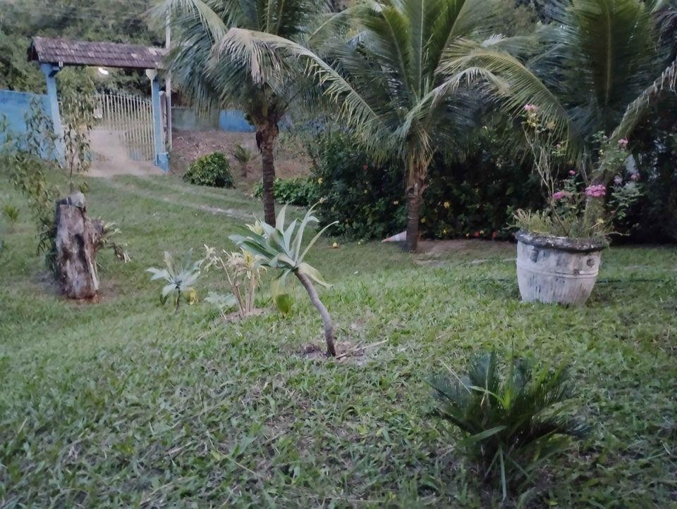 Sítio à venda com 2 quartos, 10000m² - Foto 3