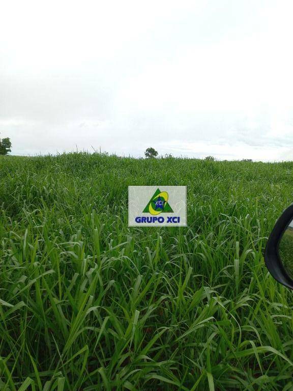 Fazenda, 997 hectares - Foto 4