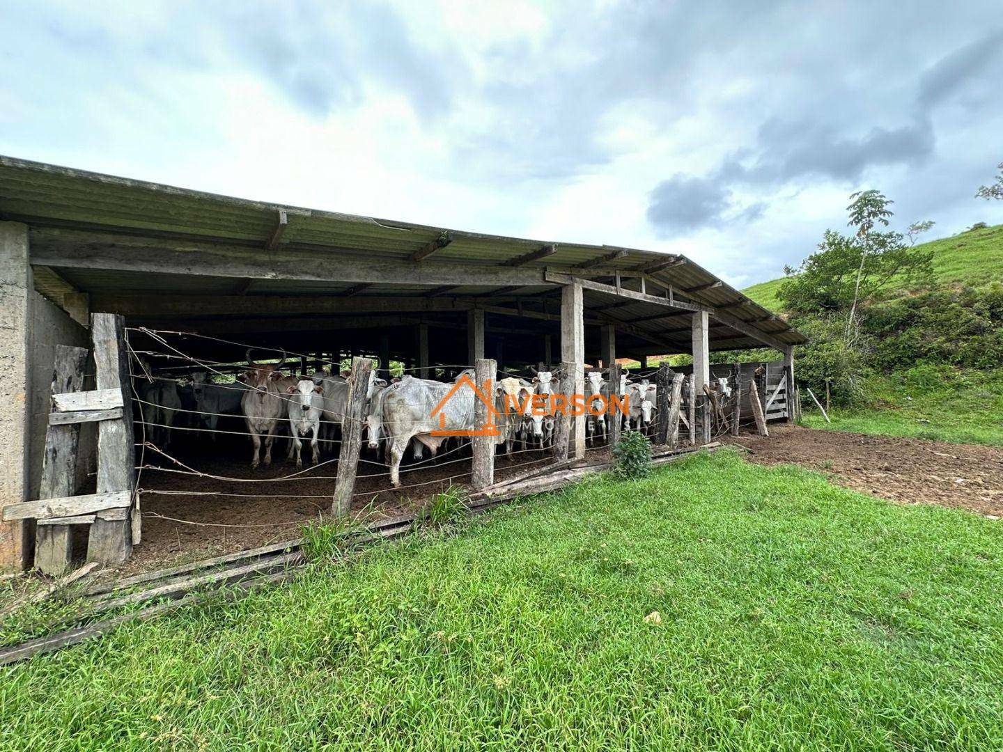 Sítio à venda com 3 quartos, 200m² - Foto 20
