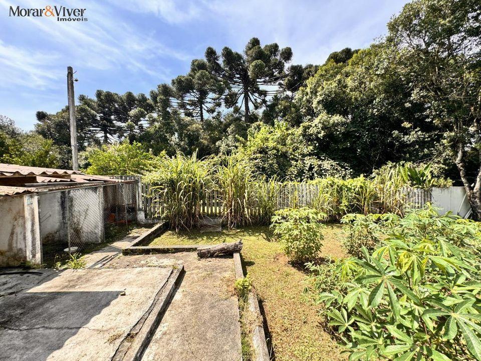 Fazenda à venda com 4 quartos, 7700m² - Foto 57