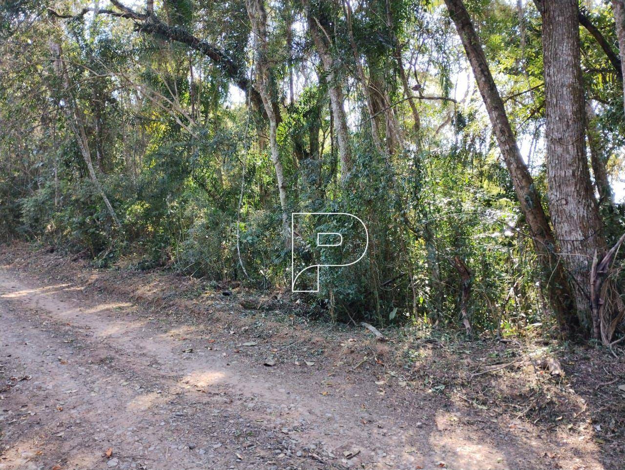 Loteamento e Condomínio, 1521 m² - Foto 5