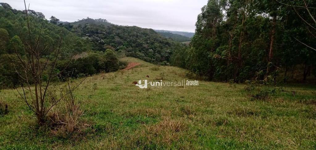 Fazenda à venda com 3 quartos, 1110000M2 - Foto 69