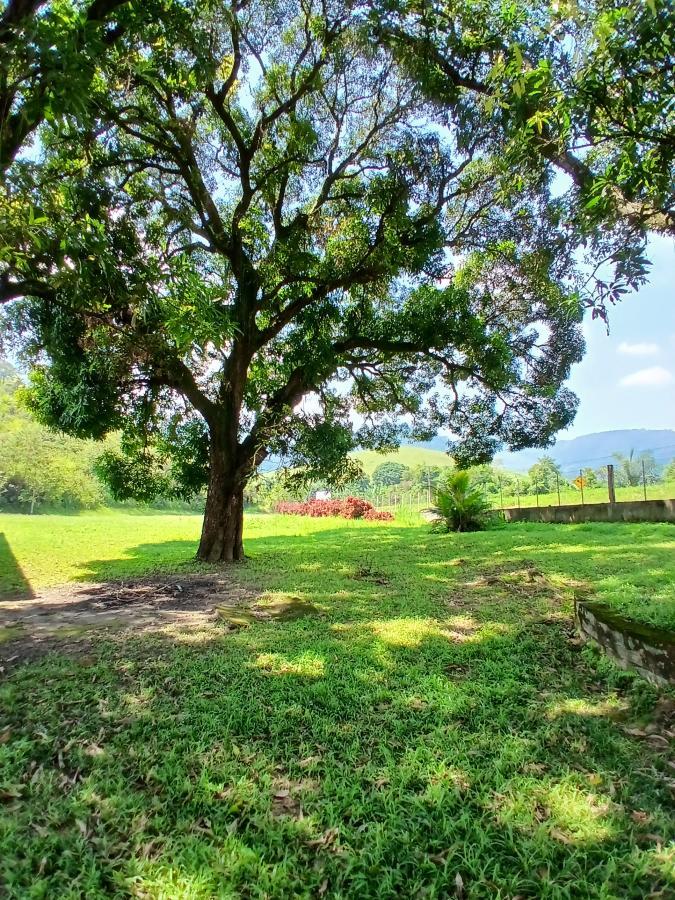 Fazenda à venda com 3 quartos, 26000m² - Foto 7