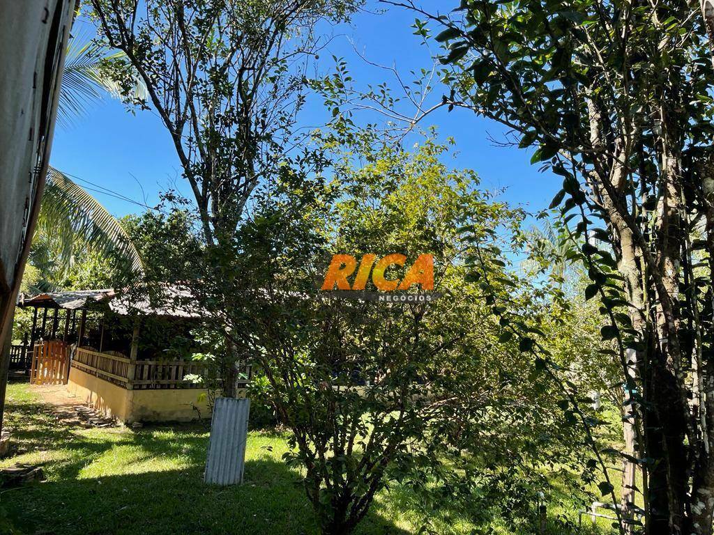 Chácara, 3 quartos, 2 hectares - Foto 18