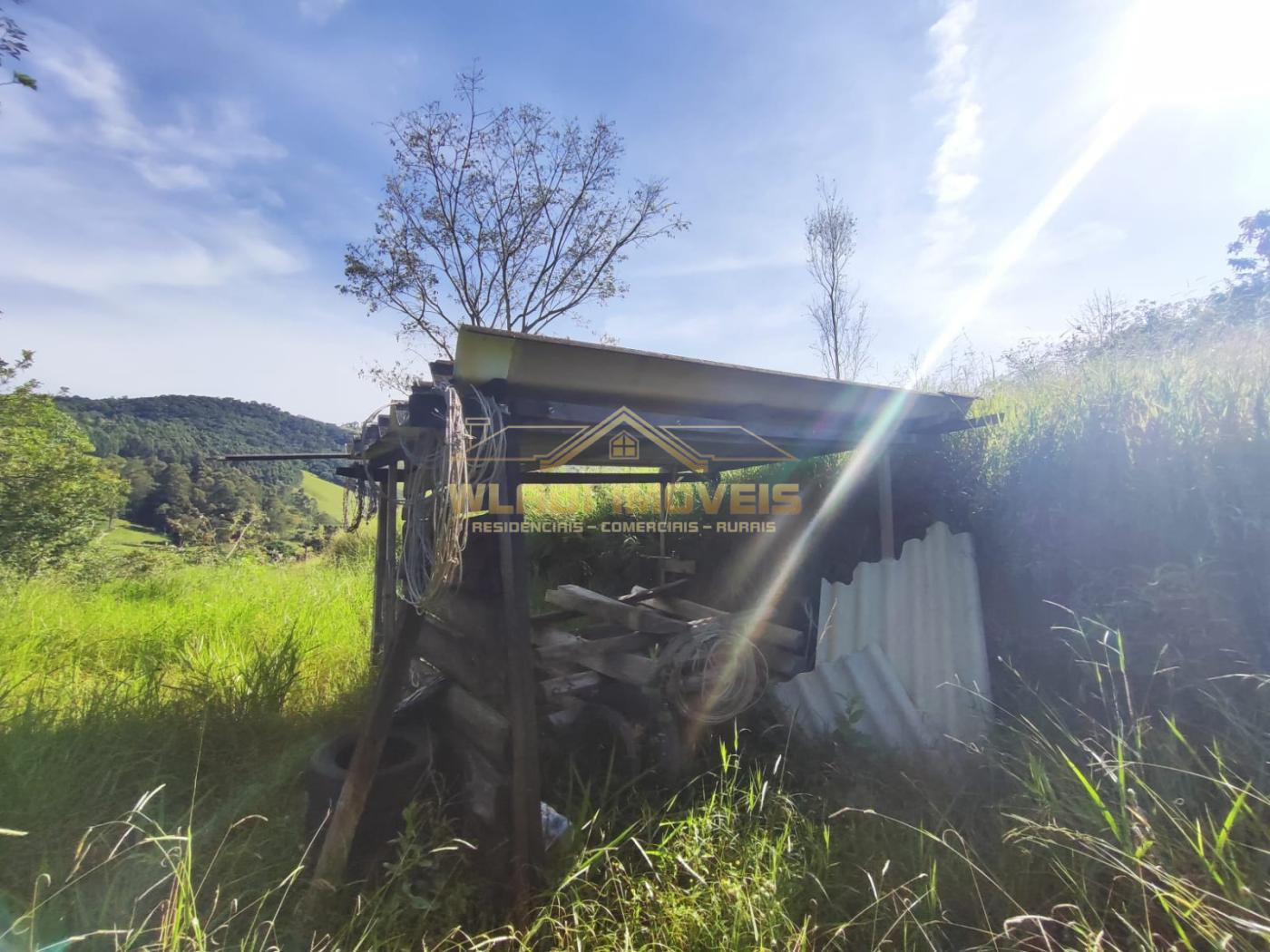 Fazenda à venda, 9000m² - Foto 17