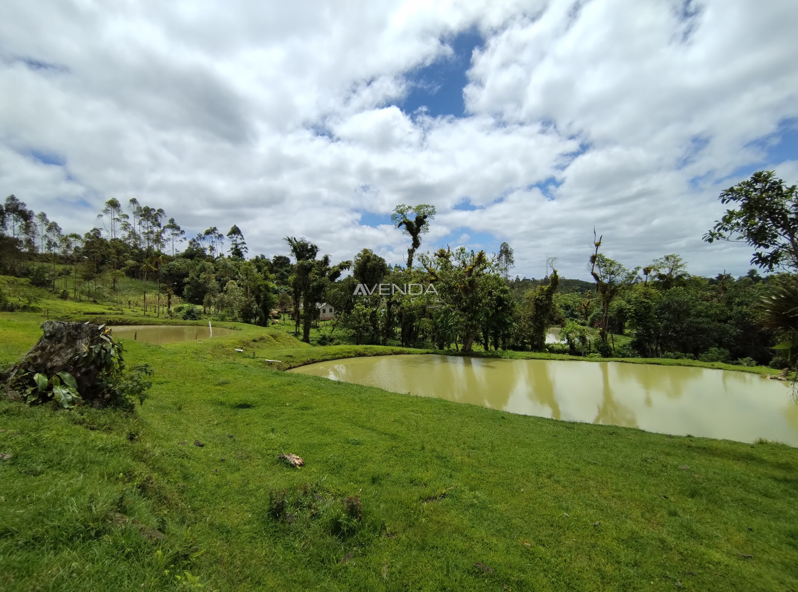 Fazenda à venda com 6 quartos, 208036m² - Foto 24