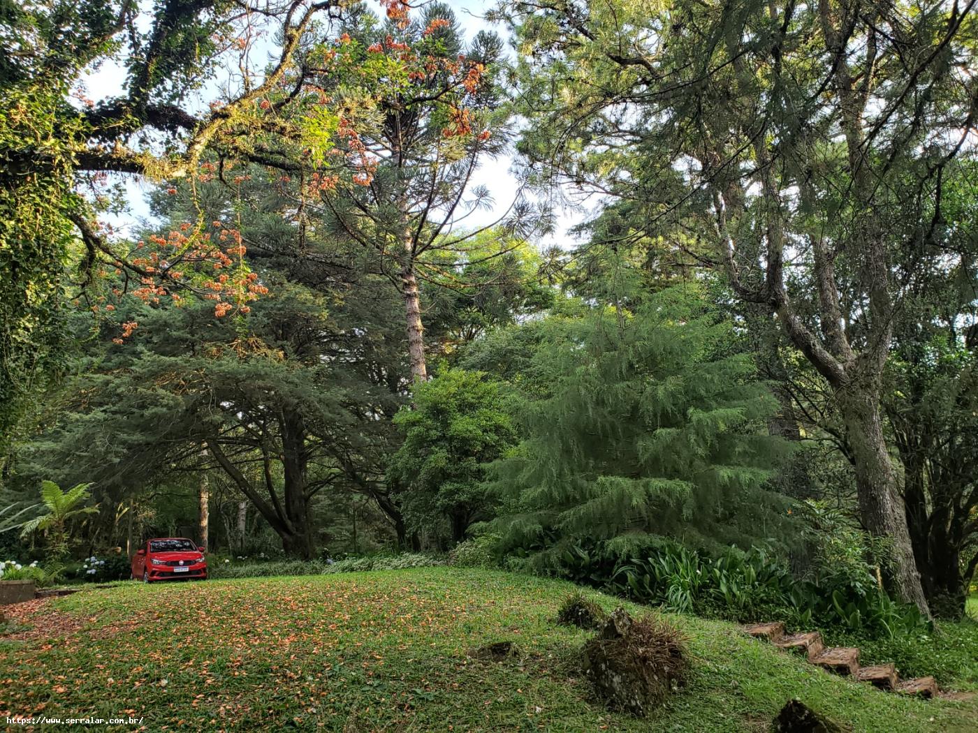 Fazenda à venda com 4 quartos, 15000m² - Foto 39