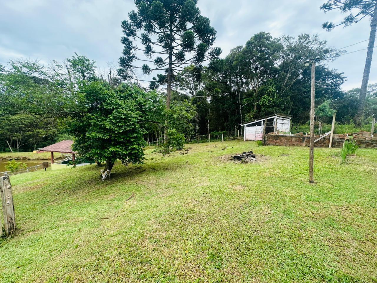 Fazenda à venda com 3 quartos, 8000m² - Foto 44