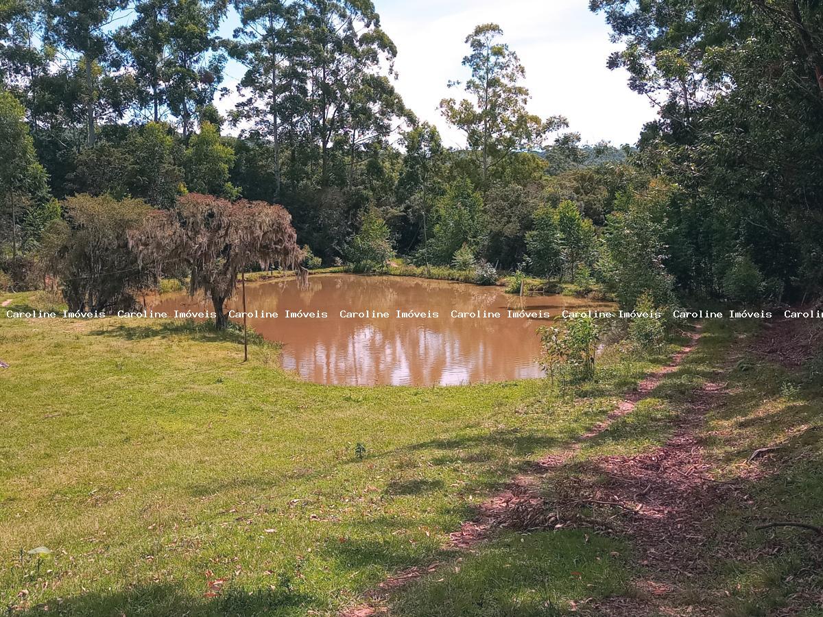 Fazenda à venda com 5 quartos, 625000m² - Foto 29