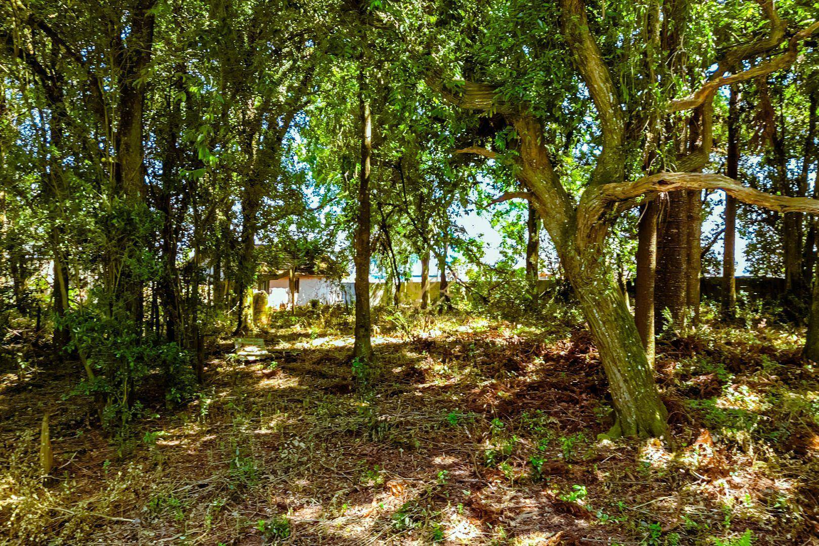 Terreno à venda, 2189M2 - Foto 5