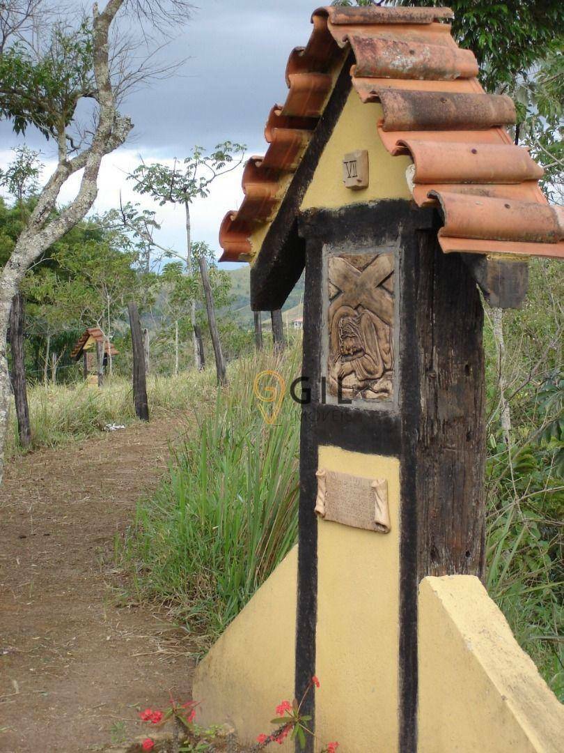 Fazenda à venda com 23 quartos, 1333100M2 - Foto 39