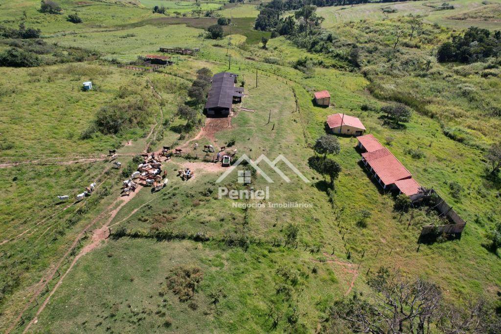 Fazenda à venda, 500m² - Foto 6