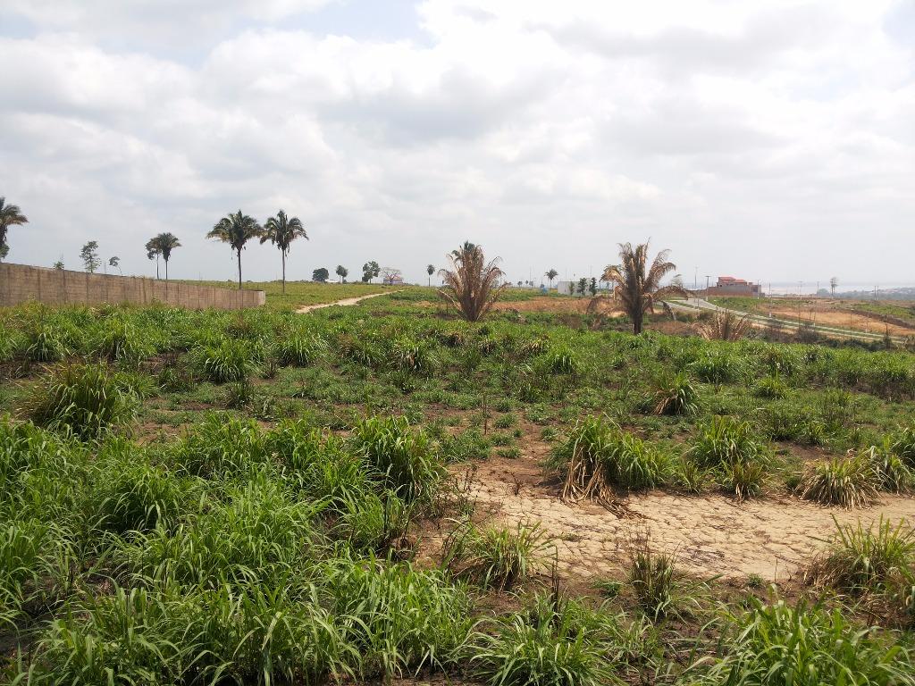 Terreno à venda, 10000M2 - Foto 2