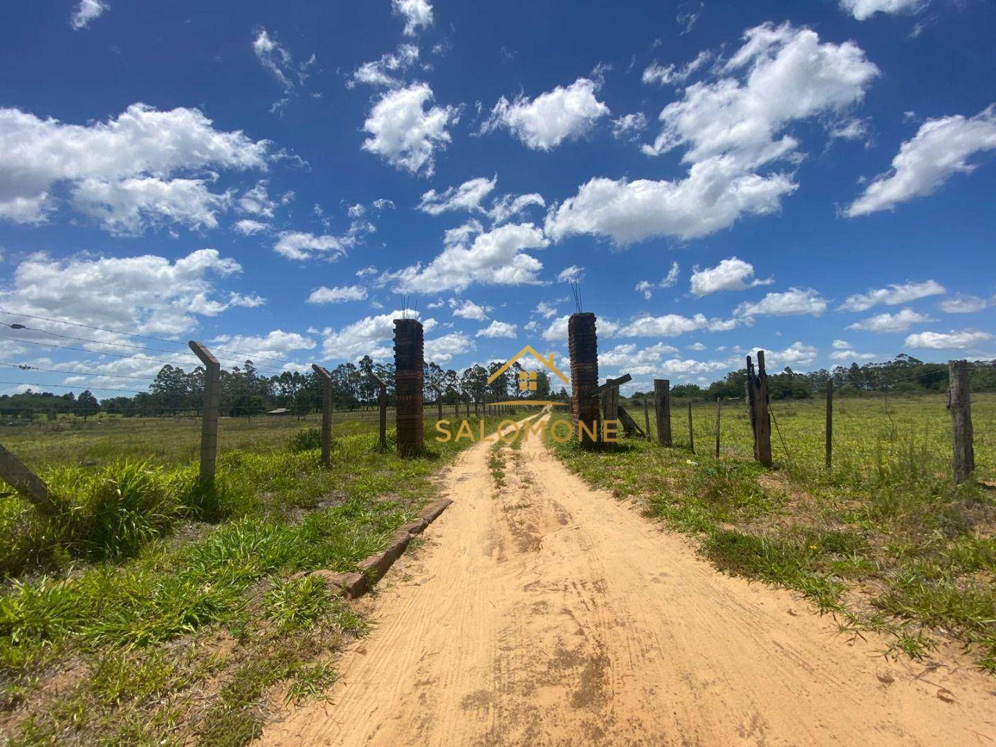 Sítio, 2 hectares - Foto 12