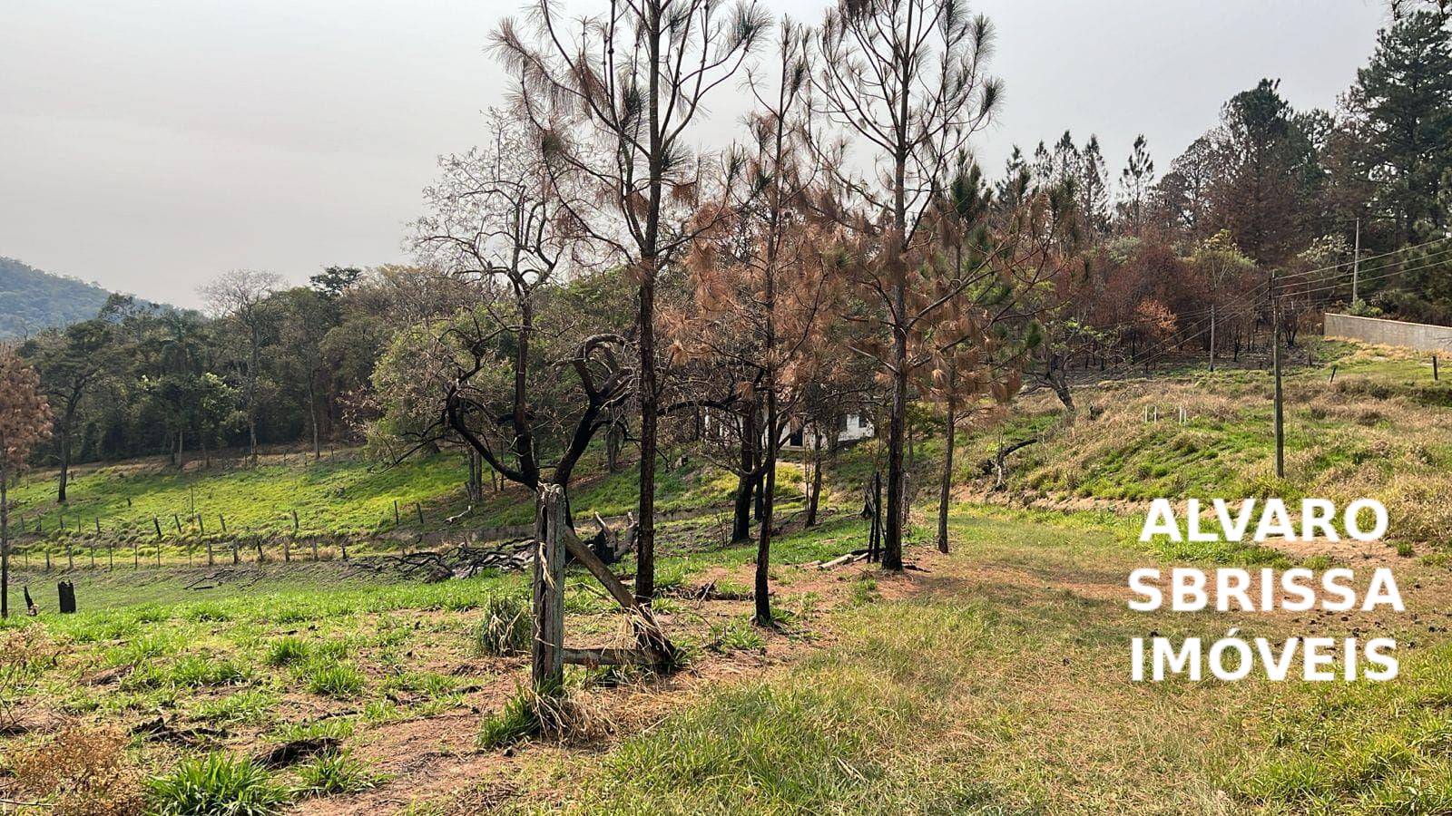 Sítio, 1 quarto, 14 hectares - Foto 10