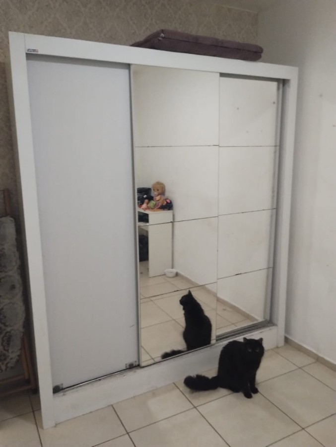 Apartamento à venda com 2 quartos, 47m² - Foto 14