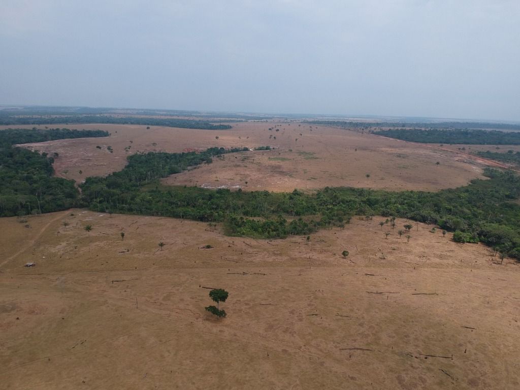 Fazenda à venda, 41140000M2 - Foto 12