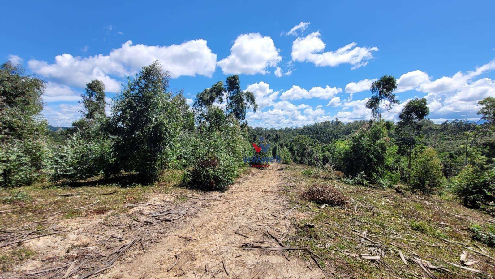 Chácara à venda, 63000M2 - Foto 3