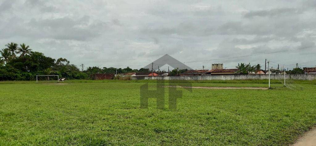 Terreno, 5 hectares - Foto 10