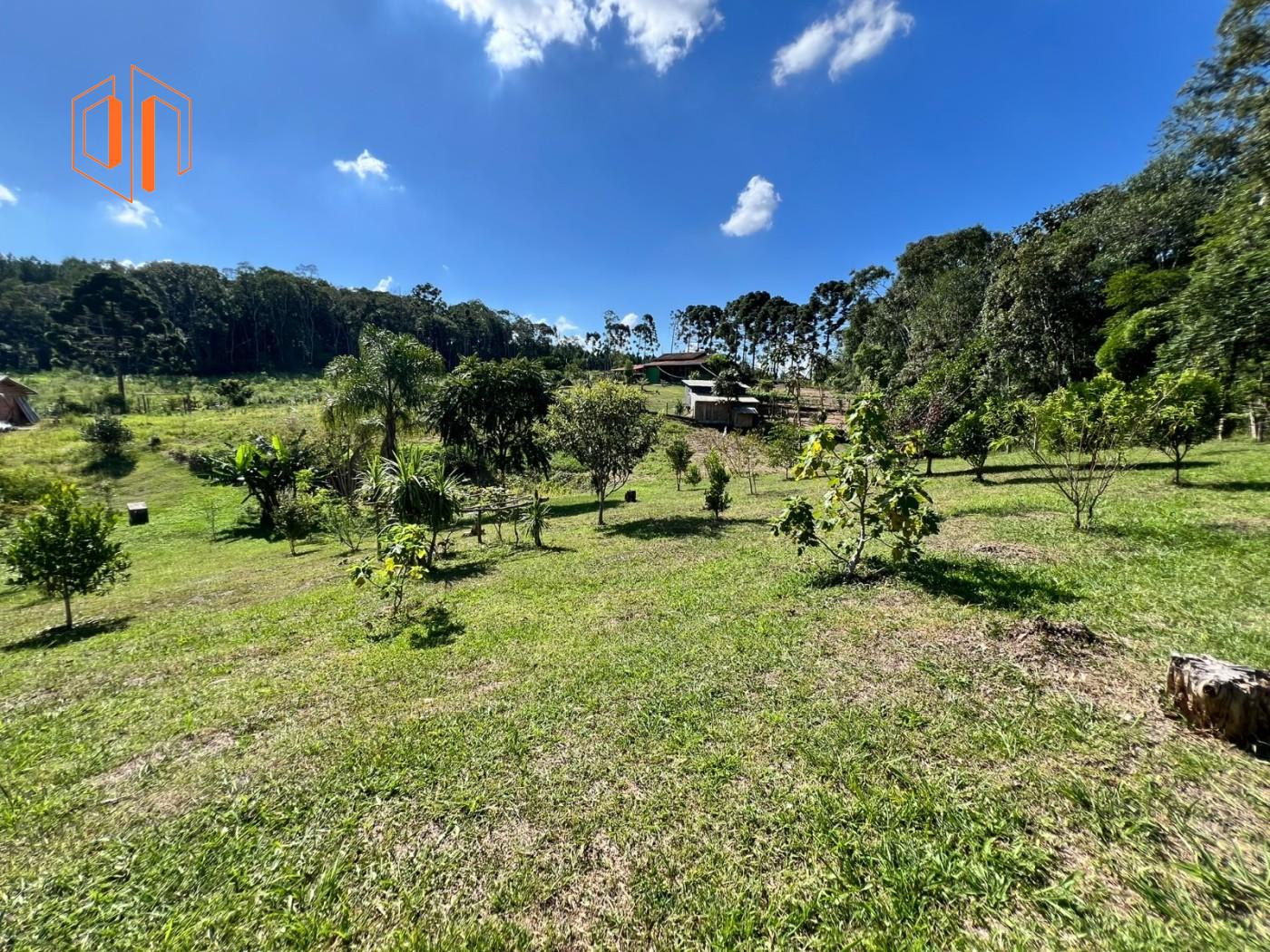 Chácara à venda, 6050m² - Foto 22