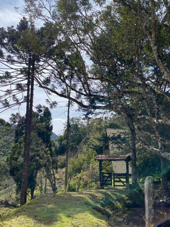 Fazenda, 158 hectares - Foto 5