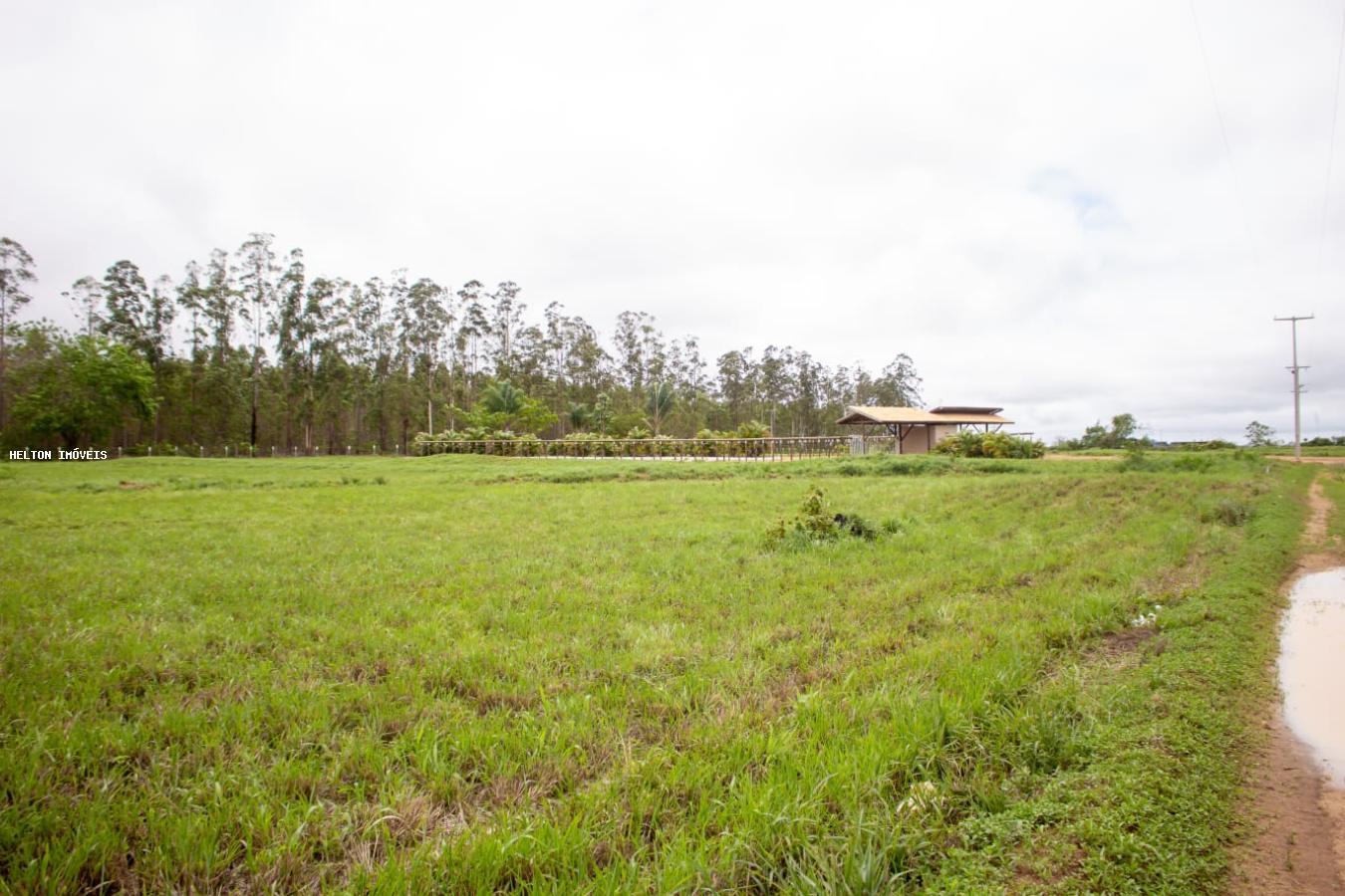 Fazenda à venda, 1000m² - Foto 10