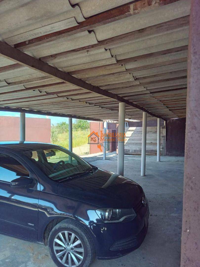 Chácara à venda com 3 quartos, 300M2 - Foto 4