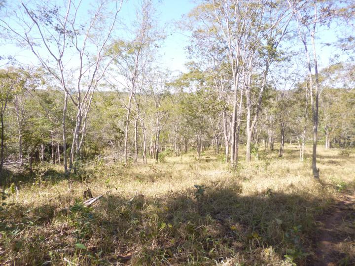 Fazenda à venda - Foto 10