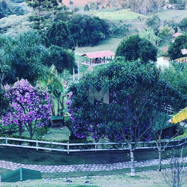 Chácara à venda com 2 quartos, 140m² - Foto 3