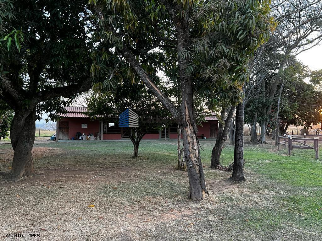 Fazenda à venda com 4 quartos, 300m² - Foto 14