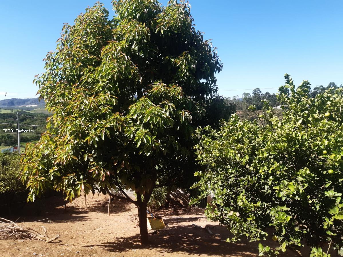 Fazenda à venda com 2 quartos, 1000m² - Foto 20