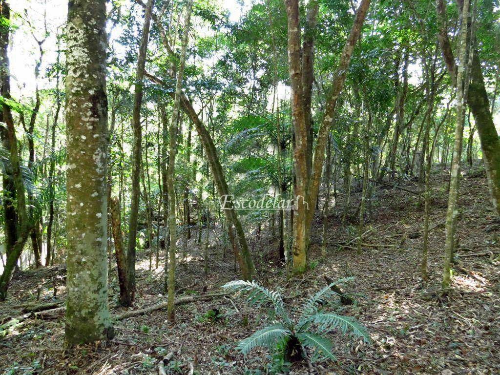 Loteamento e Condomínio à venda, 1250M2 - Foto 5