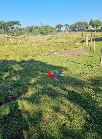 Terreno à venda, 49000M2 - Foto 3