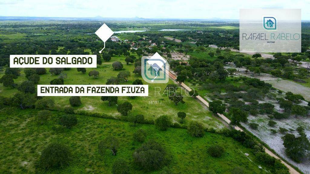 Fazenda-Sítio-Chácara, 162 hectares - Foto 2
