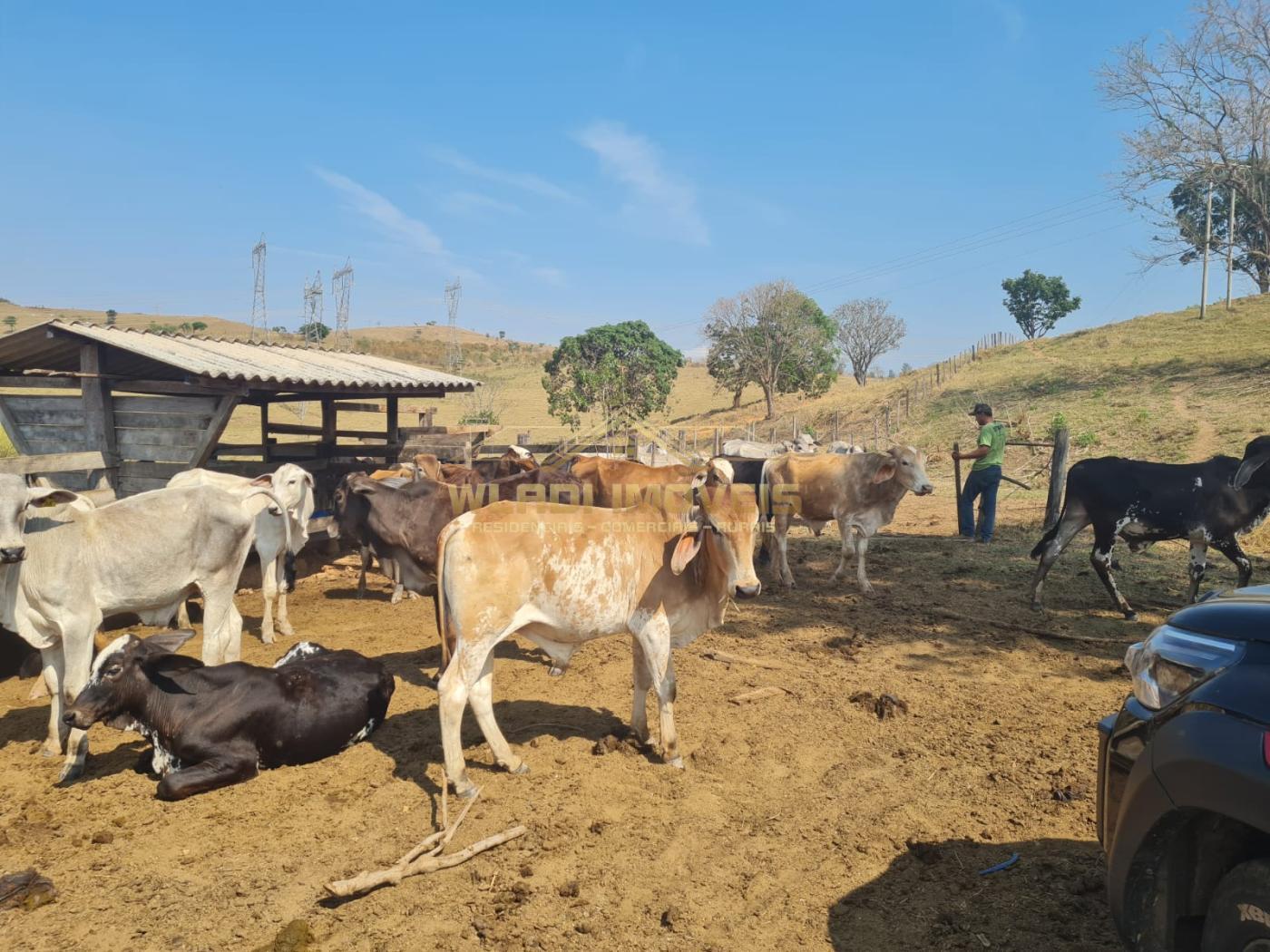 Fazenda à venda, 417m² - Foto 6