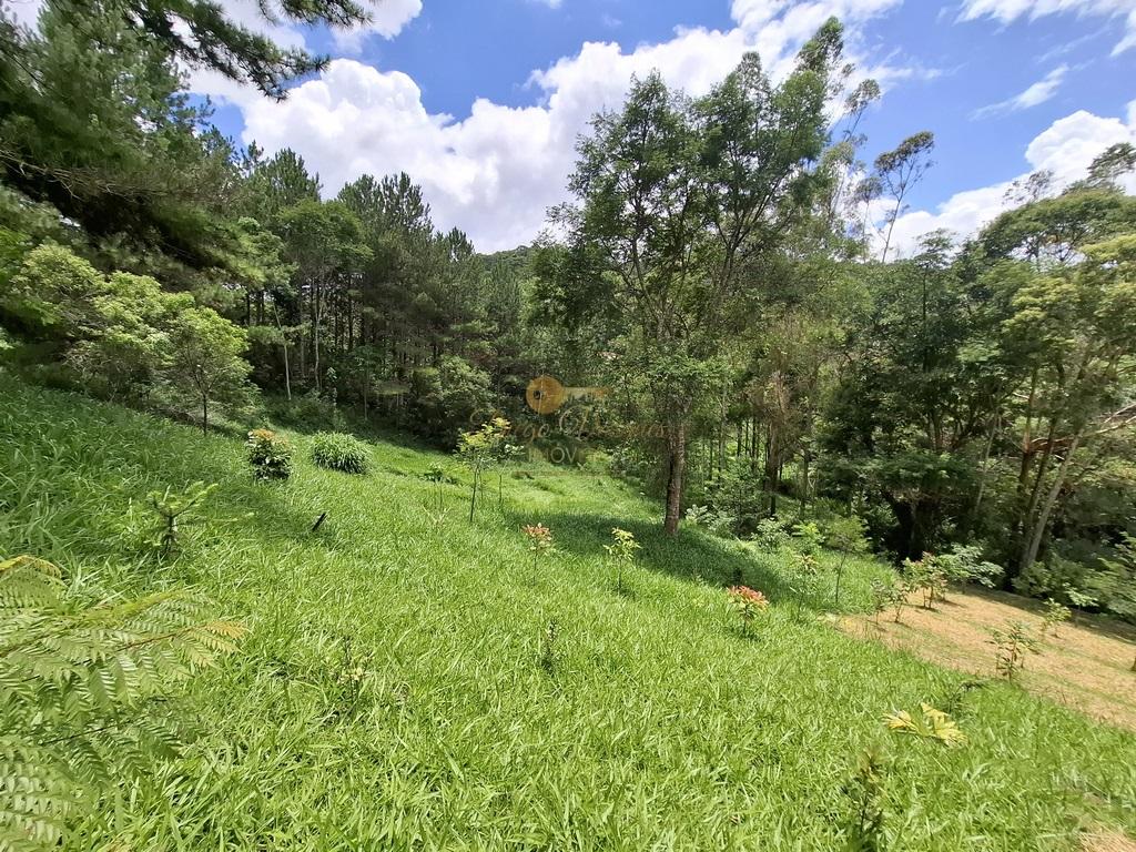 Fazenda à venda com 8 quartos, 52000m² - Foto 56